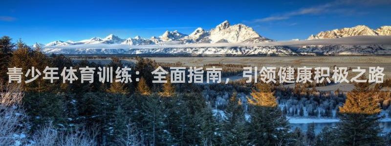 焦点娱乐官网首页入口网址：青少年体育训练：全面指南，