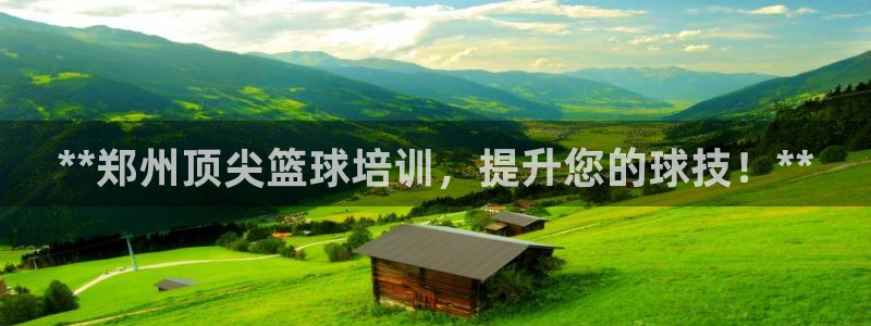 焦点娱乐传媒有限公司怎么样呀：**郑州顶尖篮球培训，提升您的