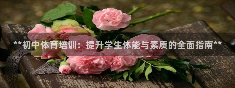 焦点娱乐官网下载安装苹果手机：**初中体育培训：提升