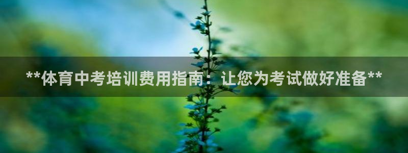 焦点娱乐传媒：**体育中考培训费用指南：让您为考试做