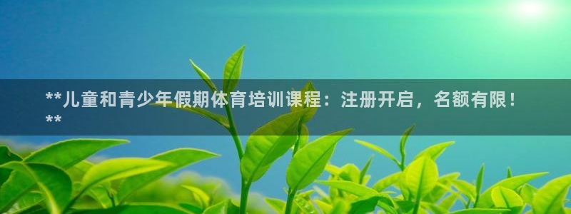 焦点娱乐股东持股比例：**儿童和青少年假期体育培训课