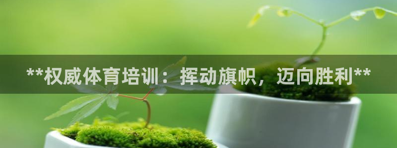 焦点娱乐ktv：**权威体育培训：挥动旗帜，迈向胜利