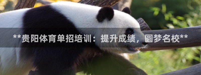 焦点娱乐平台任7O777：**贵阳体育单招培训：提升