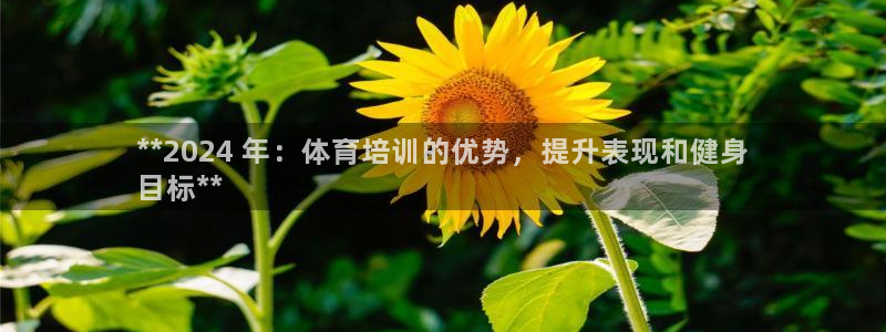 焦点娱乐官方网站下载安装最新版：**2024 年：体
