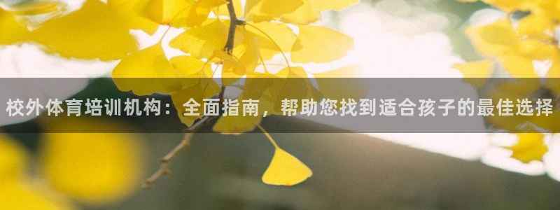 焦点娱乐是哪个公司的：校外体育培训机构：全面指南，帮