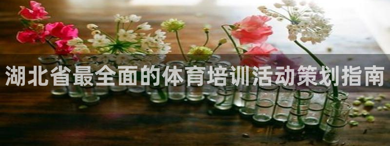 焦点娱乐有限公司招聘：湖北省最全面的体育培训活动策划