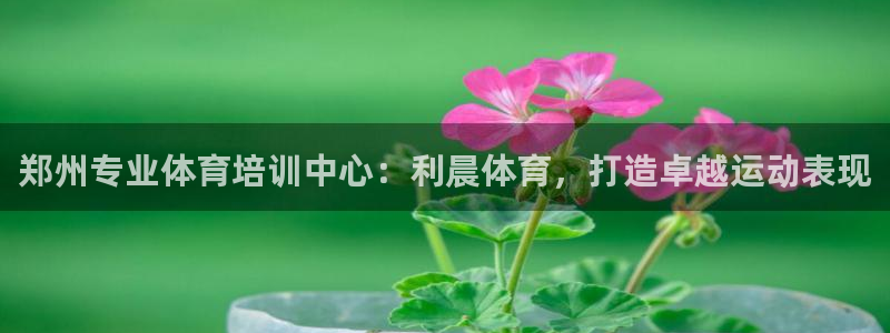 焦点娱乐公司的发展历程简介：郑州专业体育培训中心：利