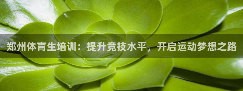 焦点娱乐vs皇族不败神话下载：郑州体育生培训：提升竞