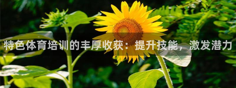 焦点娱乐加速器下载：特色体育培训的丰厚收获：提升技能