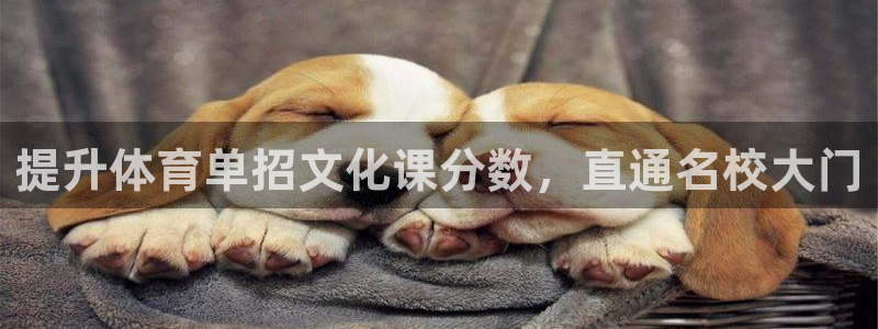 焦点娱乐官网下载安装最新版：提升体育单招文化课分数，