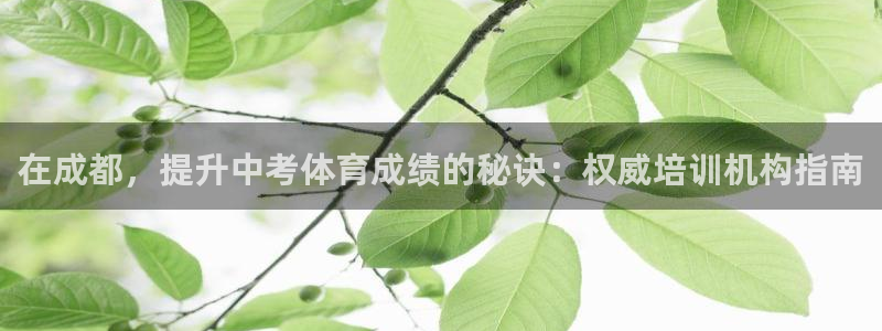 焦点娱乐佳 411O31 焦点：在成都，提升中考体育