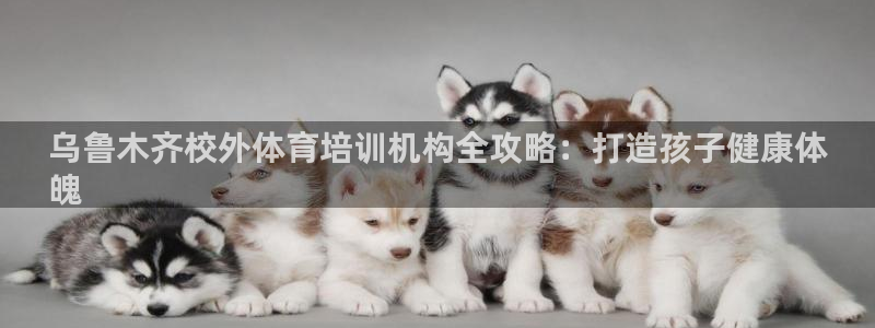 焦点娱乐如何注册账号和密码：乌鲁木齐校外体育培训机构