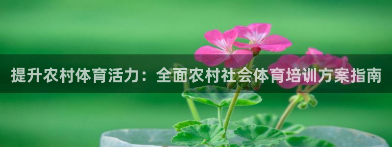 焦点娱乐股东：提升农村体育活力：全面农村社会体育培训