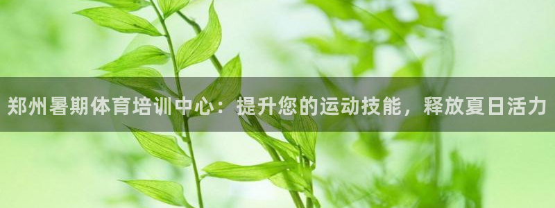焦点娱乐跨服2013：郑州暑期体育培训中心：提升您的