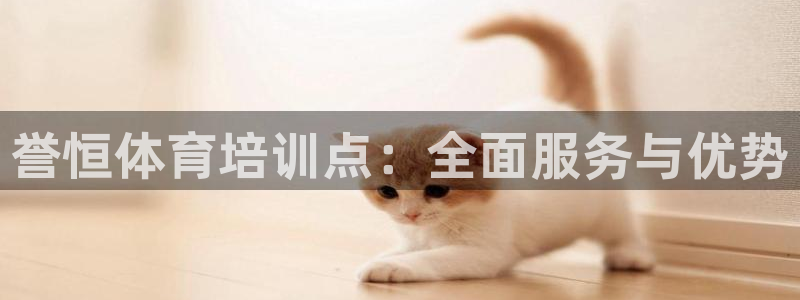 焦点娱乐是哪个公司的品牌：誉恒体育培训点：全面服务与