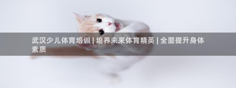 焦点娱乐传媒有限公司是干嘛的：武汉少儿体育培训 | 
