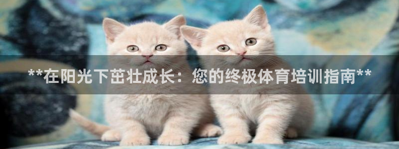 焦点娱乐官方网站入口在线观看视频：**在阳光下茁壮成