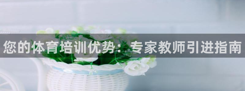 焦点娱乐传媒：您的体育培训优势：专家教师引进指南