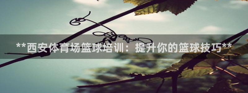 焦点娱乐拉菲11月12日：**西安体育场篮球培训：提