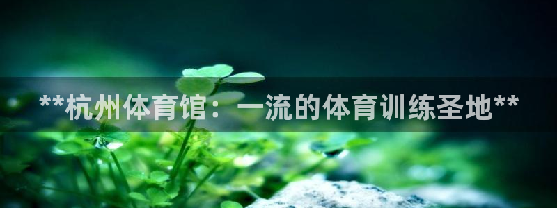焦点娱乐官网下载安装手机版最新：**杭州体育馆：一流