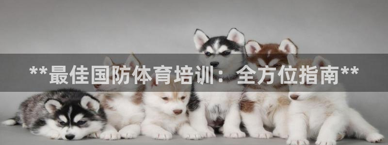 焦点娱乐是哪个公司的品牌：**最佳国防体育培训：全方