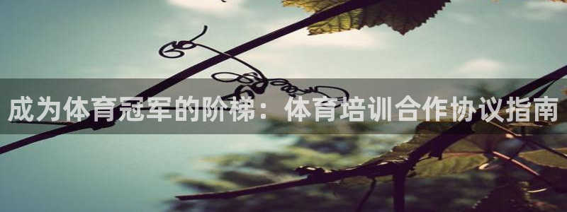 焦点娱乐公司的发展历程是什么