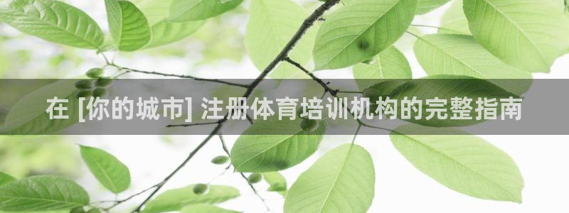 焦点娱乐有限公司怎么样：在 [你的城市] 注册体育培训机构的
