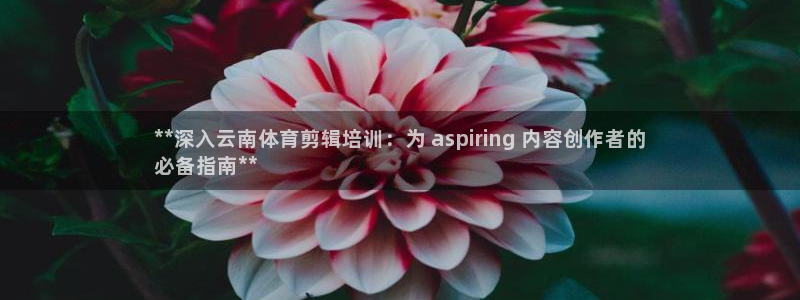 焦点娱乐平台登录不了：**深入云南体育剪辑培训：为 