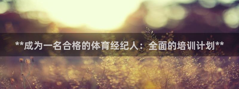 焦点娱乐官网首页入口：**成为一名合格的体育经纪人：全面的培