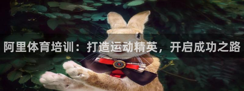 焦点娱乐无法提现：阿里体育培训：打造运动精英，开启成