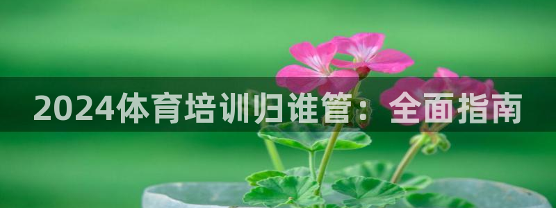 焦点娱乐平台最高待遇：2024体育培训归谁管：全面指