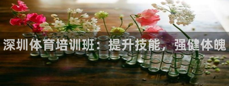 焦点娱乐是黑平台吗知乎：深圳体育培训班：提升技能，强