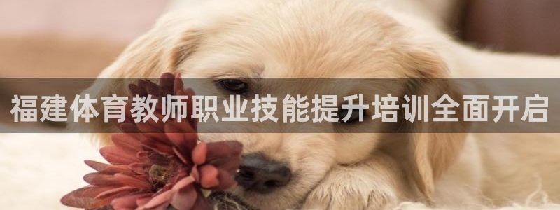 焦点娱乐平台登录不了了：福建体育教师职业技能提升培训