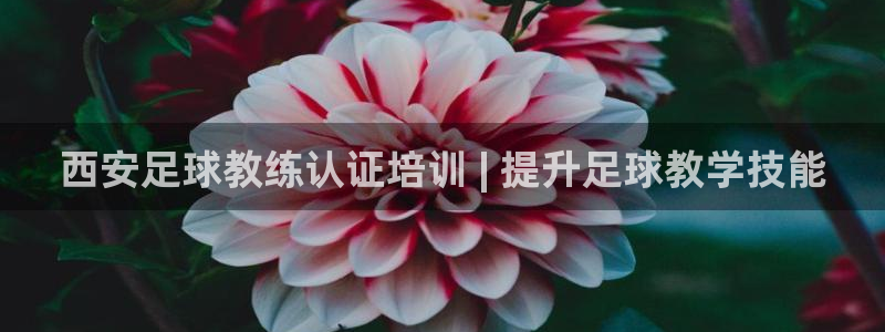焦点娱乐下载手机版官网：西安足球教练认证培训 | 提