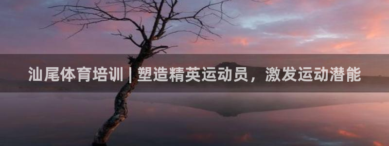 焦点娱乐官网下载安装手机版：汕尾体育培训 | 塑造精