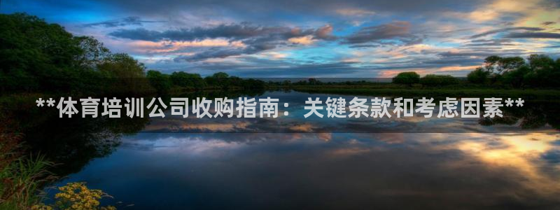 焦点娱乐官网下载安装苹果版：**体育培训公司收购指南