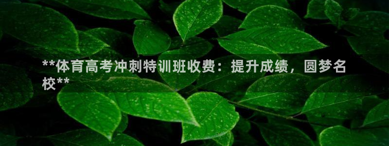 焦点娱乐下载手机版安装：**体育高考冲刺特训班收费：