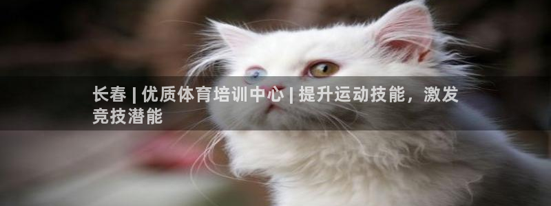 焦点娱乐官网下载安装手机版：长春 | 优质体育培训中