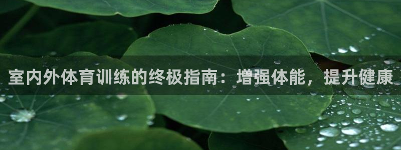 焦点娱乐黑平台曝光：室内外体育训练的终极指南：增强体