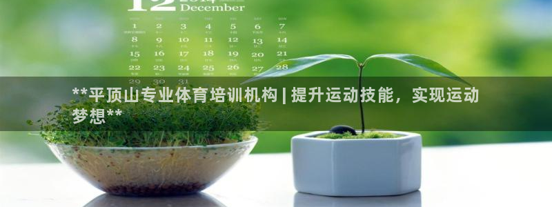 焦点娱乐拉菲：**平顶山专业体育培训机构 | 提升运