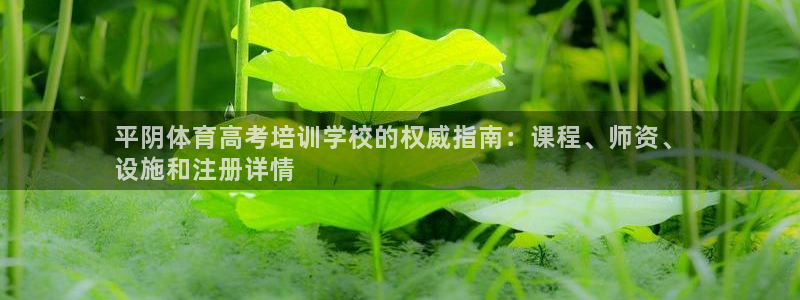焦点娱乐是哪个公司的品牌：平阴体育高考培训学校的权威
