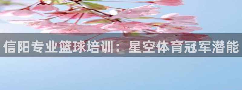 焦点娱乐网：信阳专业篮球培训：星空体育冠军潜能