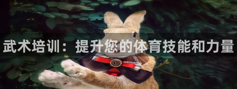 焦点娱乐平台客服电话号码：武术培训：提升您的体育技能