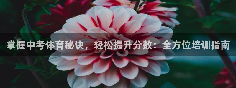 焦点娱乐佳 411O31 焦点：掌握中考体育秘诀，轻