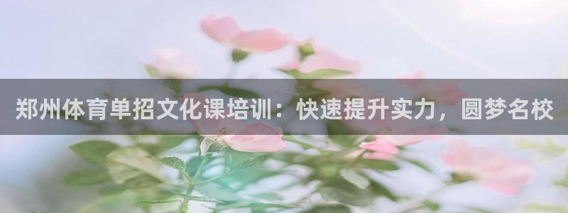 焦点娱乐怎么找：郑州体育单招文化课培训：快速提升实力