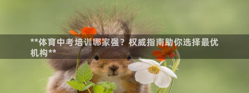 焦点娱乐星的视频：**体育中考培训哪家强？权威指南助