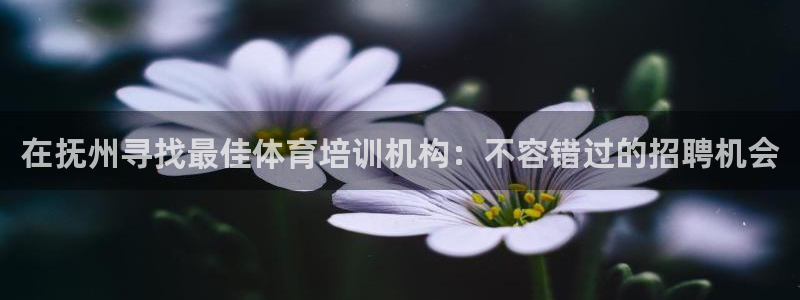 焦点娱乐：在抚州寻找最佳体育培训机构：不容错过的招聘