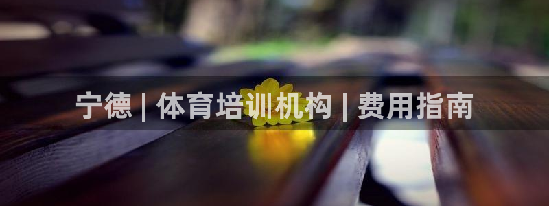 焦点娱乐游戏怎么玩：宁德 | 体育培训机构 | 费用