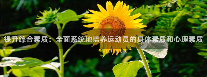 焦点娱乐如何注册账号和密码登录