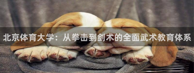 焦点娱乐app下载官网最新版